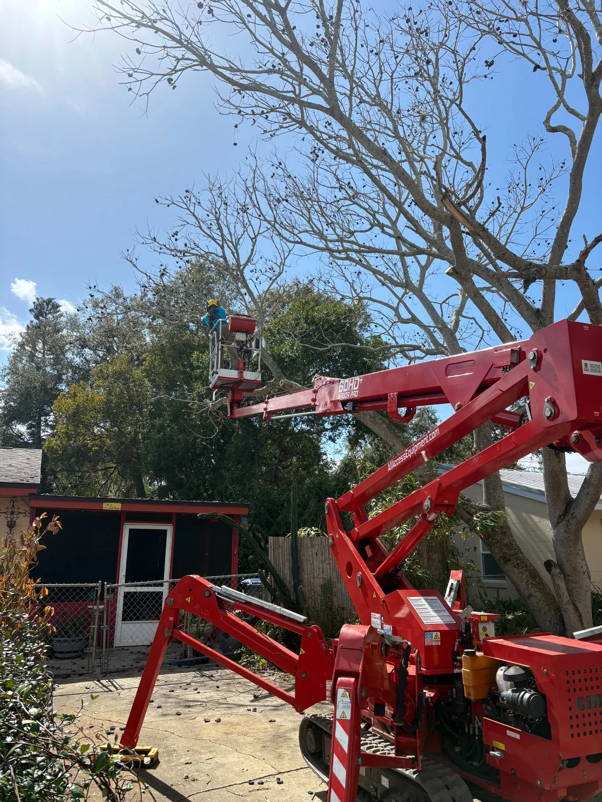Branch Tree Service compact spider lift extended into a tree during a removal